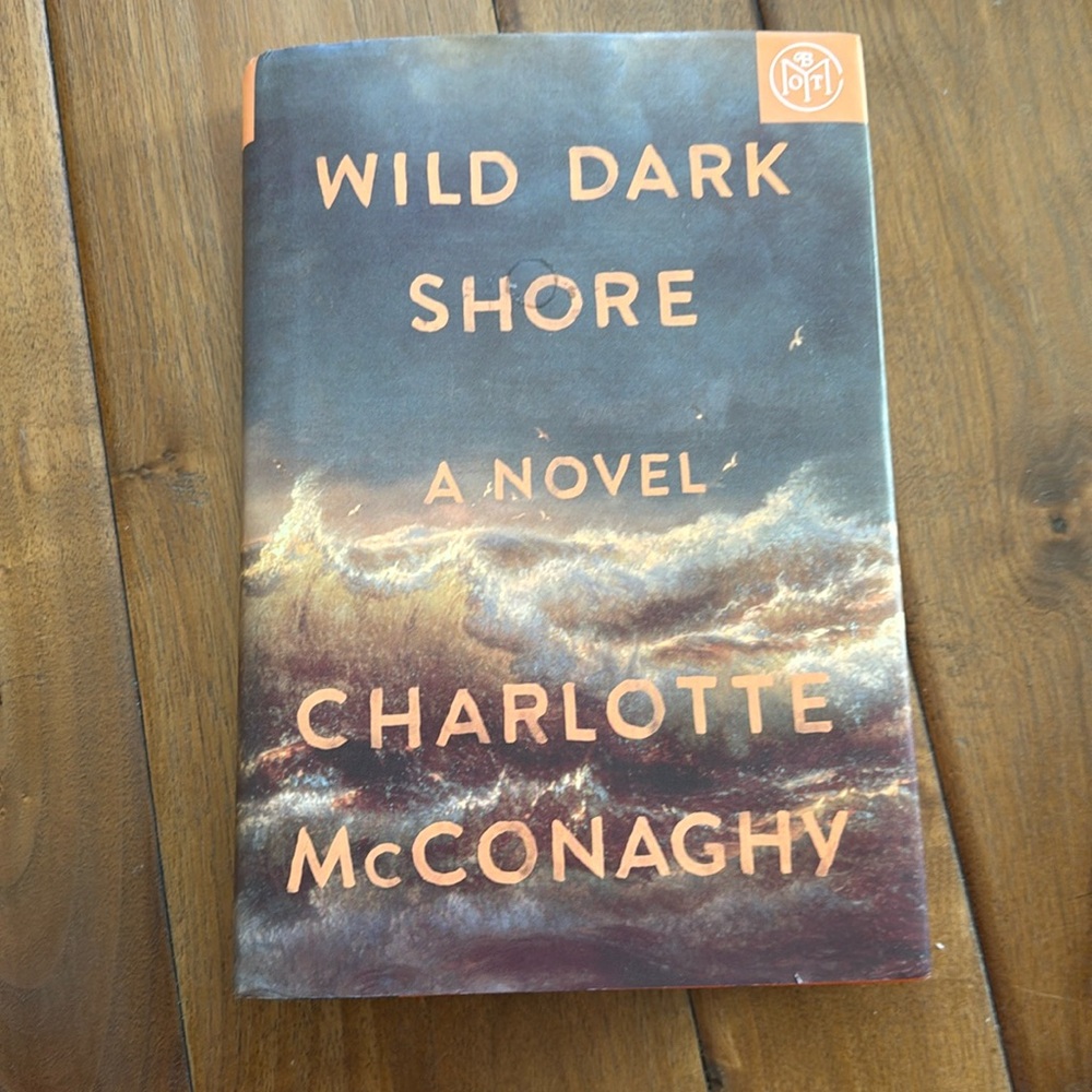 Wild Dark Shore Novel